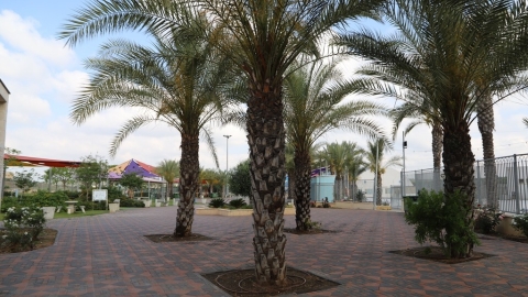 1 (00002).JPG